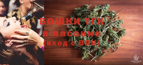 сатива Касимов