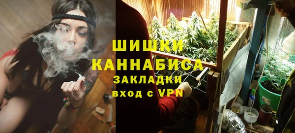 сатива Касимов