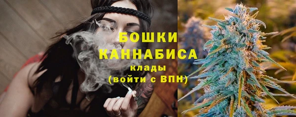 сатива Касимов