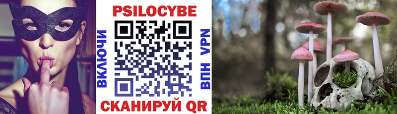 Купить закладки  Коммунар  Галлюциногенные грибы Psilocybine cubensis 